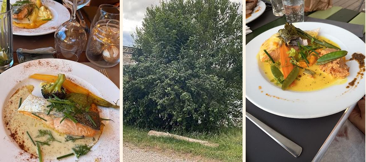 Les 3 étangs - Gallery Image 4